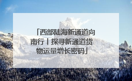 西部陆海新通道向南行丨探寻新通道货物运量增长密码
