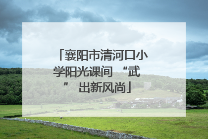 襄阳市清河口小学阳光课间 “武” 出新风尚