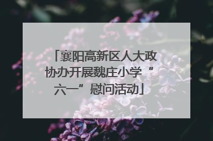 襄阳高新区人大政协办开展魏庄小学“六一”慰问活动