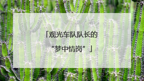 观光车队队长的“梦中情岗”