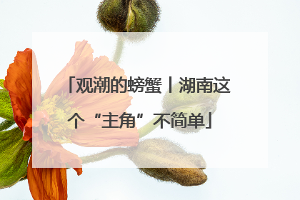 观潮的螃蟹丨湖南这个“主角”不简单