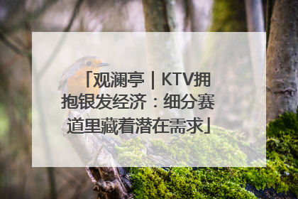 观澜亭｜KTV拥抱银发经济：细分赛道里藏着潜在需求
