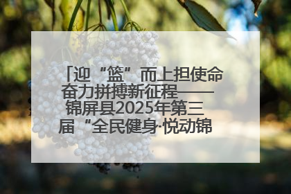 迎“篮”而上担使命 奋力拼搏新征程——锦屏县2025年第三届“全民健身·悦动锦屏”篮球赛圆满闭幕