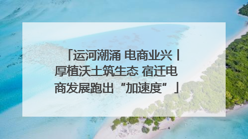 运河潮涌 电商业兴丨厚植沃土筑生态 宿迁电商发展跑出“加速度”