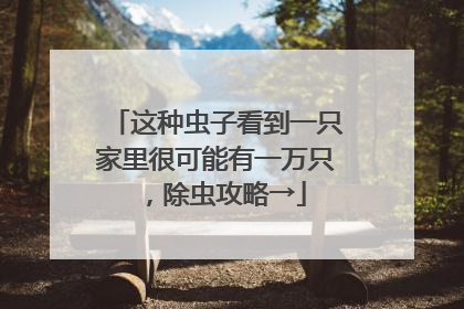这种虫子看到一只家里很可能有一万只，除虫攻略→