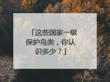 这些国家一级保护鸟类，你认识多少？