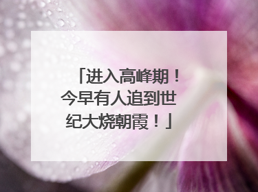 进入高峰期！今早有人追到世纪大烧朝霞！