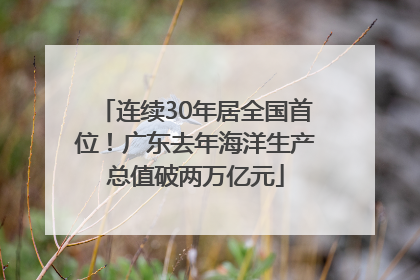 连续30年居全国首位！广东去年海洋生产总值破两万亿元