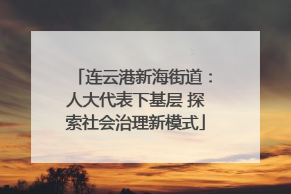 连云港新海街道：人大代表下基层 探索社会治理新模式