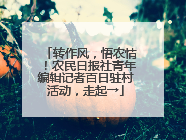 转作风，悟农情！农民日报社青年编辑记者百日驻村活动，走起→