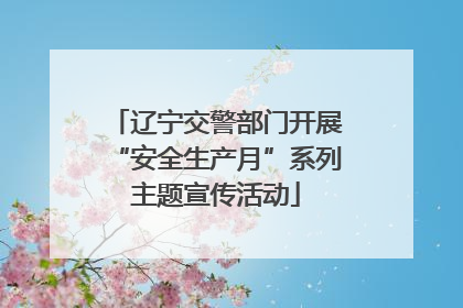 辽宁交警部门开展“安全生产月”系列主题宣传活动