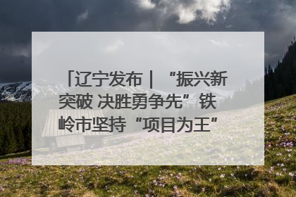 辽宁发布｜“振兴新突破 决胜勇争先”铁岭市坚持“项目为王”推进经济高质量发展
