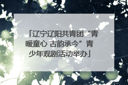 辽宁辽阳共青团“青暖童心 古韵承今”青少年观剧活动举办