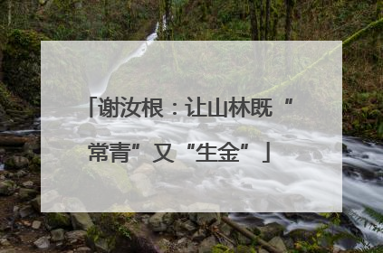 谢汝根：让山林既“常青”又“生金”