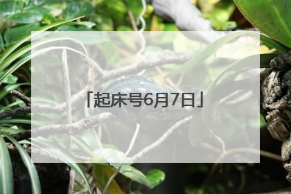 起床号6月7日