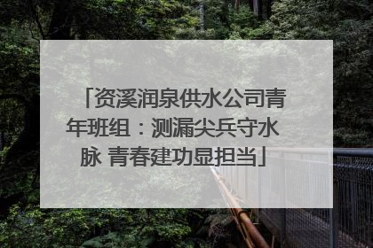 资溪润泉供水公司青年班组：测漏尖兵守水脉 青春建功显担当