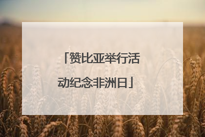 赞比亚举行活动纪念非洲日