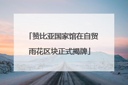 赞比亚国家馆在自贸雨花区块正式揭牌