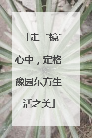 走“镜”心中，定格豫园东方生活之美