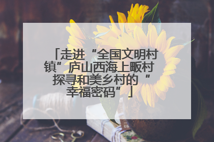 走进“全国文明村镇”庐山西海上畈村 探寻和美乡村的“幸福密码”