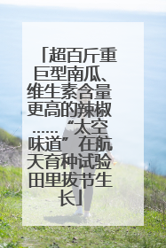 超百斤重巨型南瓜、维生素含量更高的辣椒……“太空味道”在航天育种试验田里拔节生长
