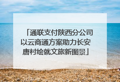 通联支付陕西分公司以云商通方案助力长安唐村绘就文旅新图景