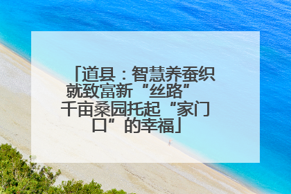 道县：智慧养蚕织就致富新“丝路” 千亩桑园托起“家门口”的幸福