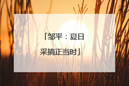 邹平：夏日采摘正当时