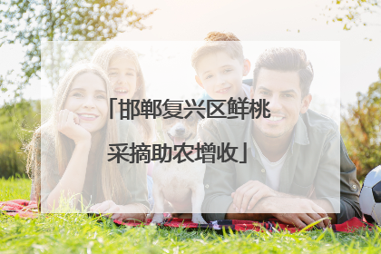 邯郸复兴区鲜桃采摘助农增收