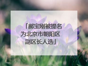 郝宝刚被提名为北京市朝阳区副区长人选