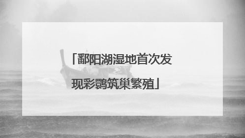 鄱阳湖湿地首次发现彩鹮筑巢繁殖