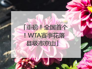 重磅！全国首个！WTA赛事花落县级市京山