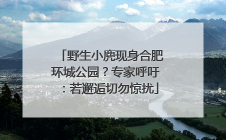 野生小麂现身合肥环城公园？专家呼吁：若邂逅切勿惊扰