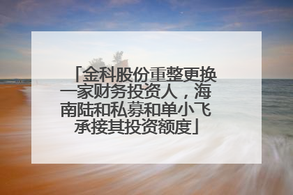 金科股份重整更换一家财务投资人，海南陆和私募和单小飞承接其投资额度