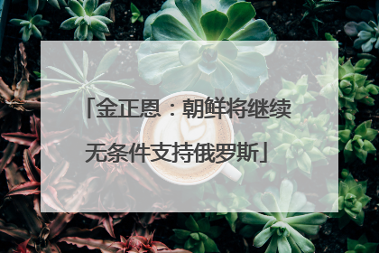 金正恩：朝鲜将继续无条件支持俄罗斯
