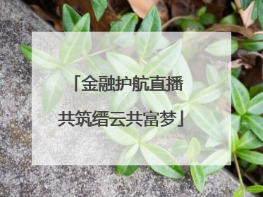 金融护航直播 共筑缙云共富梦