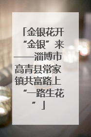 金银花开“金银”来——淄博市高青县常家镇共富路上“一路生花”