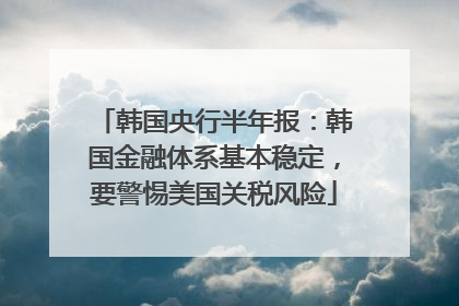 韩国央行半年报：韩国金融体系基本稳定，要警惕美国关税风险