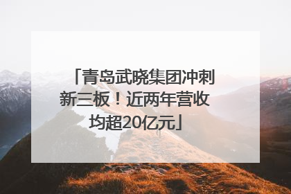 青岛武晓集团冲刺新三板！近两年营收均超20亿元