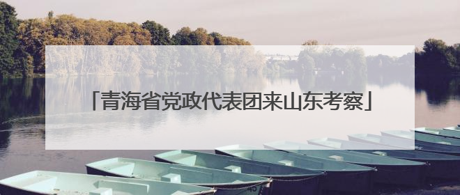 青海省党政代表团来山东考察