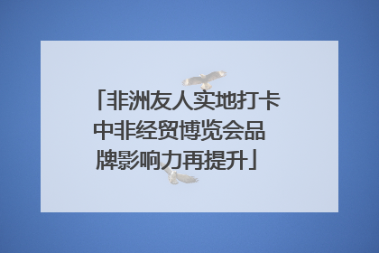 非洲友人实地打卡 中非经贸博览会品牌影响力再提升