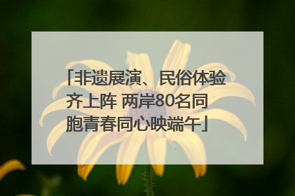 非遗展演、民俗体验齐上阵 两岸80名同胞青春同心映端午