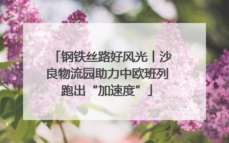 钢铁丝路好风光丨沙良物流园助力中欧班列跑出“加速度”