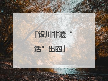 银川非遗“活”出圈