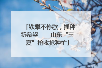 铁犁不停歇，播种新希望——山东“三夏”抢收抢种忙