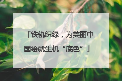 铁轨织绿，为美丽中国绘就生机“底色”