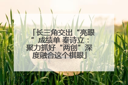 长三角交出“亮眼”成绩单 秦诗立：聚力抓好“两创”深度融合这个棋眼