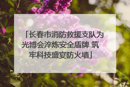 长春市消防救援支队为光博会淬炼安全盾牌 筑牢科技盛宴防火墙