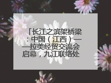 长江之滨架桥梁：中国（江西）——拉美经贸交流会启幕，九江联络处授牌拓商机