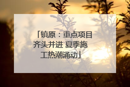 镇原：重点项目齐头并进 夏季施工热潮涌动